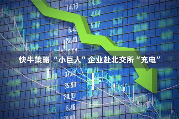 快牛策略 “小巨人”企业赴北交所“充电”